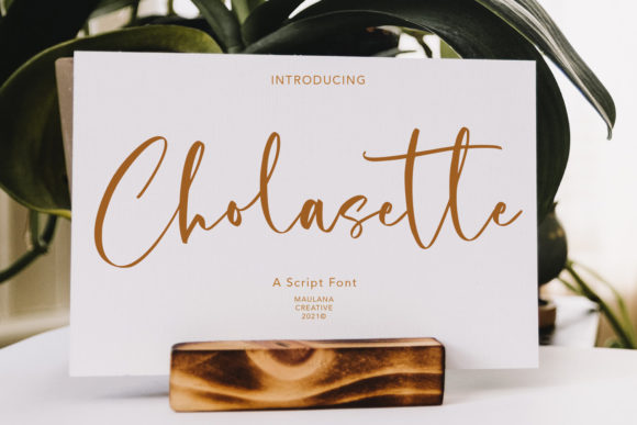 Cholasette Script: A Versatile Typeface for Web Design