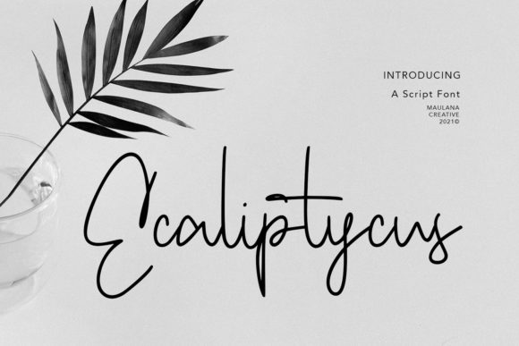 Discover Ecaliptycus Script: A Font for Elegant Publishing