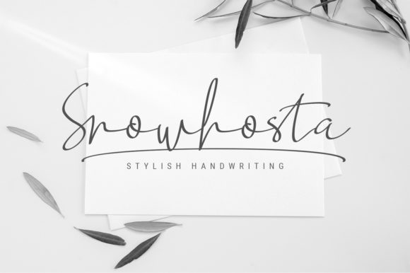Discover the Elegance of Snowhosta Script for Web Design
