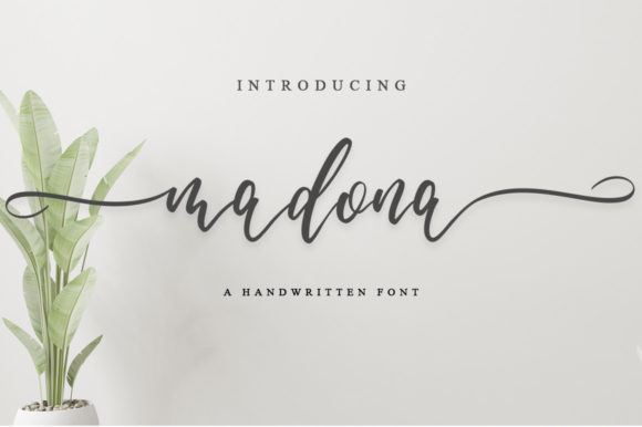 Elevate Your Web Design with Madona Script Font