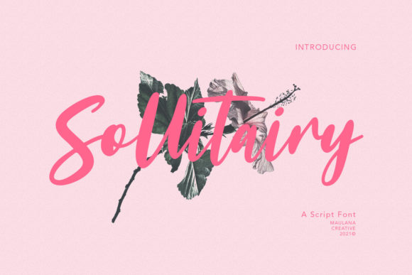 Elevate Your Web Design with Sollitairy Script