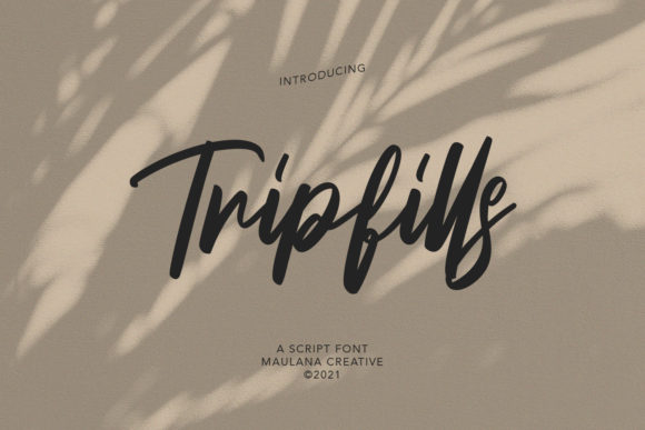 Elevate Your Web Design with Tripfills Script Font