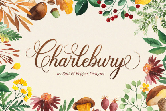 Enhance Your Brand with Charlbury Script Font