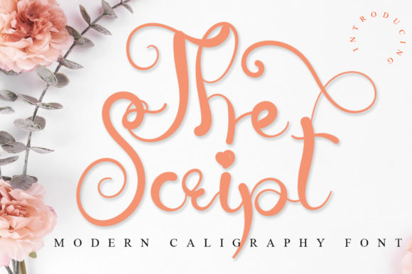 Enhance Your Brand with The Script Font