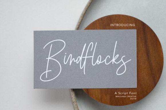 Enhance Your Campaigns with Birdflocks Script Font