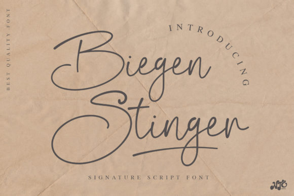 Enhance Your Editorial Design with Biegen Stinger Script