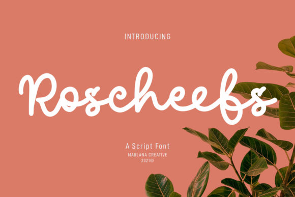 Enhance Your Editorial Design with Roscheefs Script