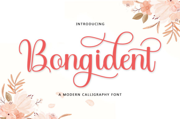 Enhance Your Web Design with Bongident Script Font