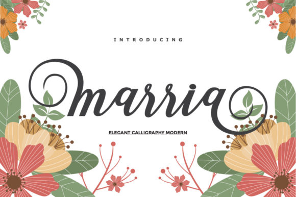 Marria Script: A Versatile Font for Elegant Campaigns