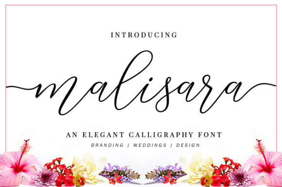 Transform Your Brand with Malisara Script Font
